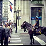 NYPD by horse