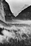 Kopecky v Yosemitech - Tunnel View #1
