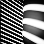 Lines & Stripes II.
