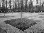Symetrie v parku